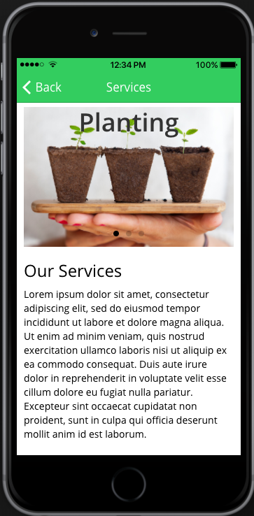 services image